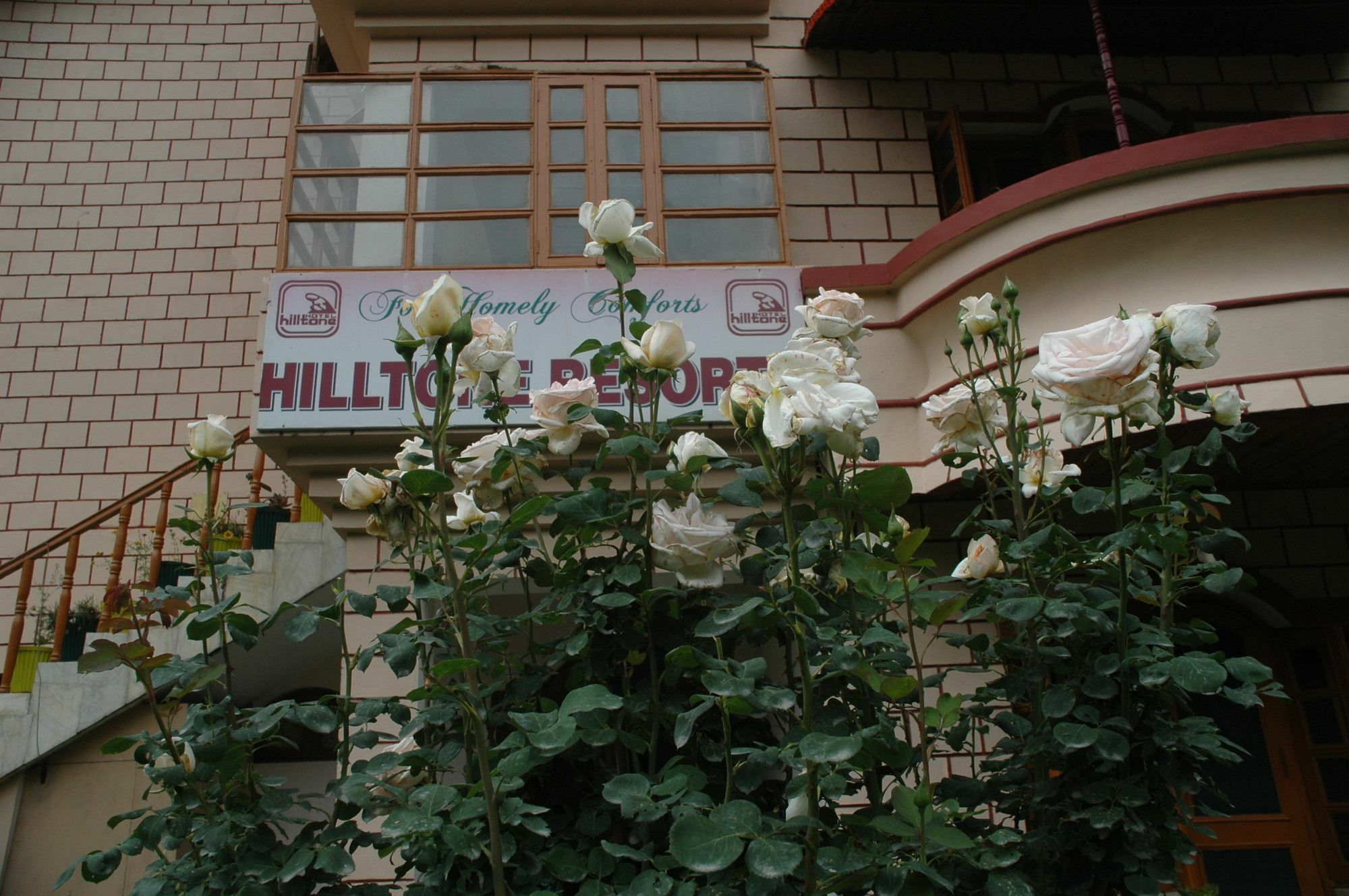Hilltone Resorts & Spa Manāli Εξωτερικό φωτογραφία